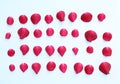 A collection of red rose petals isolated on a white background Royalty Free Stock Photo