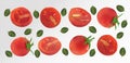 Collection red of tomato with leaves on transparent background. Tomato flying are whole and cut in half. Useful ripe Royalty Free Stock Photo