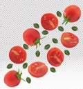 Collection red of tomato with leaves on transparent background. Tomato flying are whole and cut in half. Useful ripe