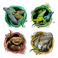 Collection with reptiles and lisard Cartoon. Reptile emblems template vector Illustration