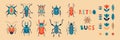 Collection of retro bugs and florals. Vector illustration set of beetles in colorful vintage style 1960s.