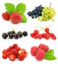 Collection of ripe berry fruits isolated