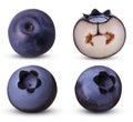 Collection ripe blueberry whole and cut in half