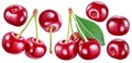 Collection of ripe cherries. File contains clipping paths