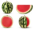 Collection of ripe watermelon without ossicle, whole, cut, slice