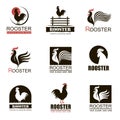 Rooster icons set