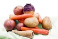 Collection of root vegetables Royalty Free Stock Photo