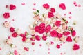 Collection of  roses and petals arranged on white  and gold textured background Royalty Free Stock Photo