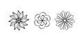 Collection of rustic ornamental plants and flowers. Hand drawn vintage vector design elements. Simple line art style for design of Royalty Free Stock Photo