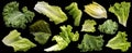 Collection of salad leaves isolated on black background Royalty Free Stock Photo