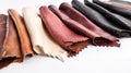 Collection of samples of natural leather for clothes, furniture in row, white background. AI generated. Royalty Free Stock Photo