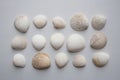 Collection of scallop seashells on white background from above Royalty Free Stock Photo