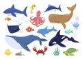 Collection of sea animals vector flat illustration. Set of funny underwater habitats isolated Royalty Free Stock Photo