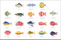 Collection of sea and river fish and lettering name in English vector Illustrations Royalty Free Stock Photo