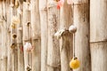 Collection of sea shells on bamboo wall in vintage