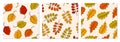 Collection of 3 seamless pattern with autumn leaves in line art style. Great for backgrounds, cards, gift wrapping paper Royalty Free Stock Photo