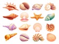 Collection of seashells illustration