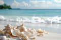 A collection of seashells lying on the sandy shores of a beach, forming an enchanting arrangement, A beach themed wedding