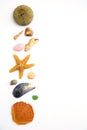 Collection of seashells on white Royalty Free Stock Photo