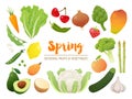 Collection of seasonal fruits and vegetables. Spring time collection. Vector EPS10 illustration. Royalty Free Stock Photo