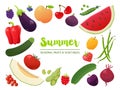 Collection of seasonal fruits and vegetables. Summer time collection. Vector EPS10 illustration.