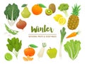 Collection of seasonal fruits and vegetables. Winter time collection. Vector EPS10 illustration. Royalty Free Stock Photo