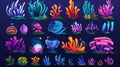 A collection of seaweed and coral cartoons. Modern illustration collection of different underwater ocean plants and