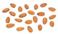 Collection seeds nut Almonds isolated on white background. Group Almond nuts closeup. Organic food Royalty Free Stock Photo