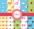 collection set of animal seamless pattern. Lion, monkey, camel, elephant, cow, pig, sheep with label logo concept. Vector illustra Royalty Free Stock Photo