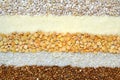 Lines of pearl barley, semolina, rice, peas, buckwheat Royalty Free Stock Photo