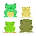 Collection set of cute frogs vector illustration. Royalty Free Stock Photo