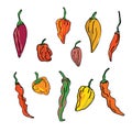 Collection or Set of Different Hot Chili Peppers Drawing Royalty Free Stock Photo