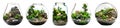 Collection set of glass jar bottle aquarium tank globe Garden Terrarium on transparent, PNG