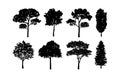 Tree silhouette Collections Set Royalty Free Stock Photo