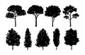 Tree Vector Collections Set Royalty Free Stock Photo