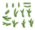 Collection Set of Realistic Fir Branches for Christmas Tree, Pine. Royalty Free Stock Photo