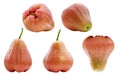 Collection set Rose Apple isolated on white background with clipping path Royalty Free Stock Photo