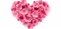 Collection set of rose flower petals in heart love shape Royalty Free Stock Photo