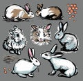 Collection set. Seven rabbits with elements. Drawing illustration in the style of a careless retro sketch by hand. Royalty Free Stock Photo