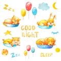 Collection set sleeping animals with moons and ballons