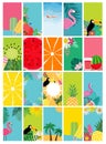 Collection set of social media stories design templates summer backgrounds. Vector Illustration