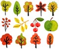 Collection set trees autumn leaves colored objects. watercolor isolated elements. kids drawing