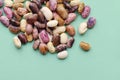 Collection set of various dried kidney legumes haricot beans close up isolated on blue background. Healthy food. Royalty Free Stock Photo