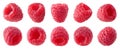 Collection or set of various fresh ripe raspberries on white background Royalty Free Stock Photo