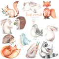 Collection, set of watercolor cute forest animals illustrations Royalty Free Stock Photo