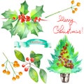 Collection (set) with watercolor floral Christmas elements of decoration Royalty Free Stock Photo