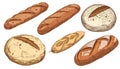 Assorted Artisanal Breads on White Background Illustration Royalty Free Stock Photo
