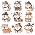 collection 02 Siberian Husky wearing pumkin hat and Halloween cloak character stickers Royalty Free Stock Photo