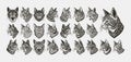 Collection of side view american bobtail cat head design vector