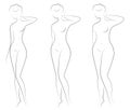 Collection. Silhouette of a beautiful woman figure. The girl is thin, slender and the woman is fat. The lady is standing. Set of